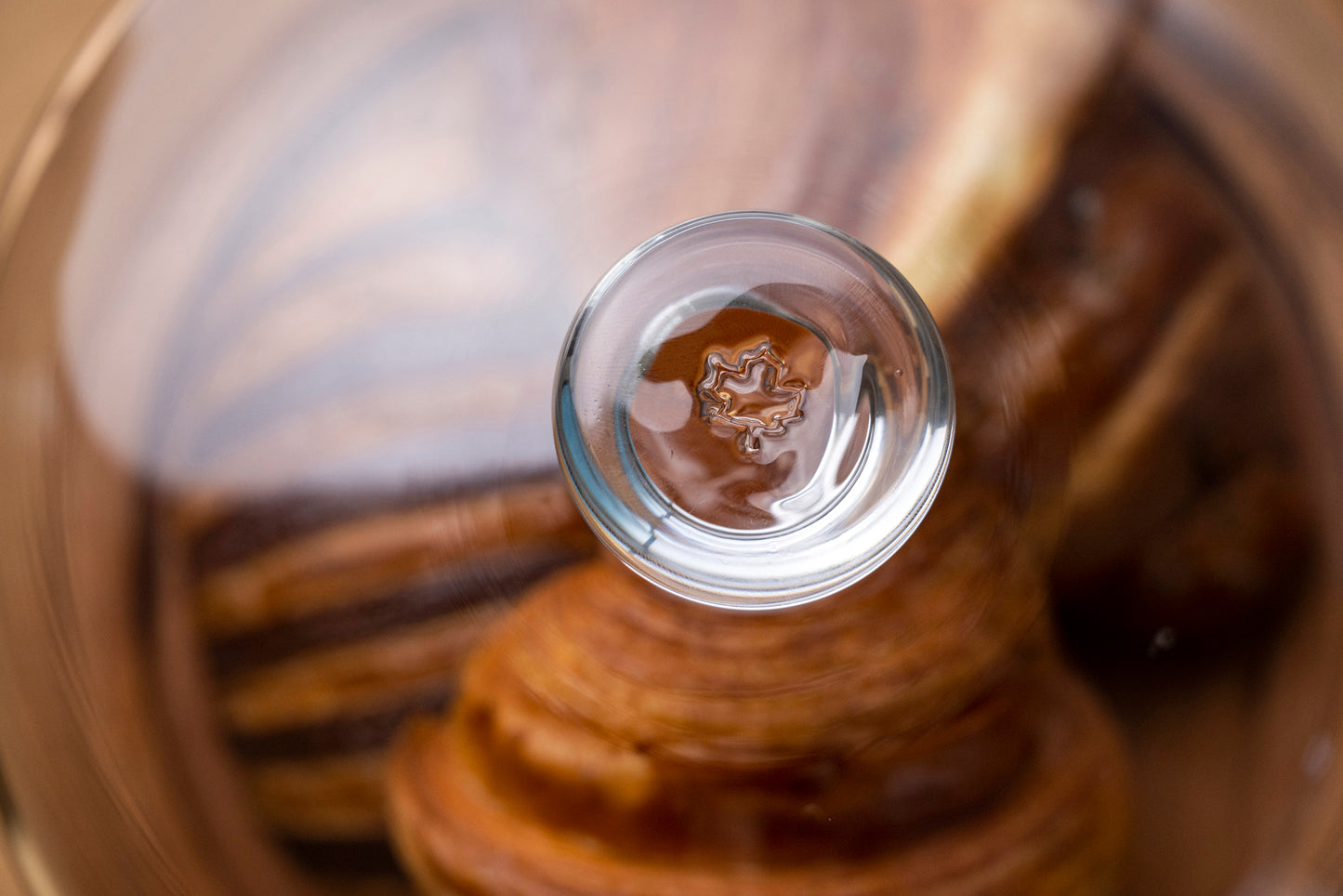 Cloche Dome with Cherry Wood Base by Blackpoint Woodworking & furthurdesign